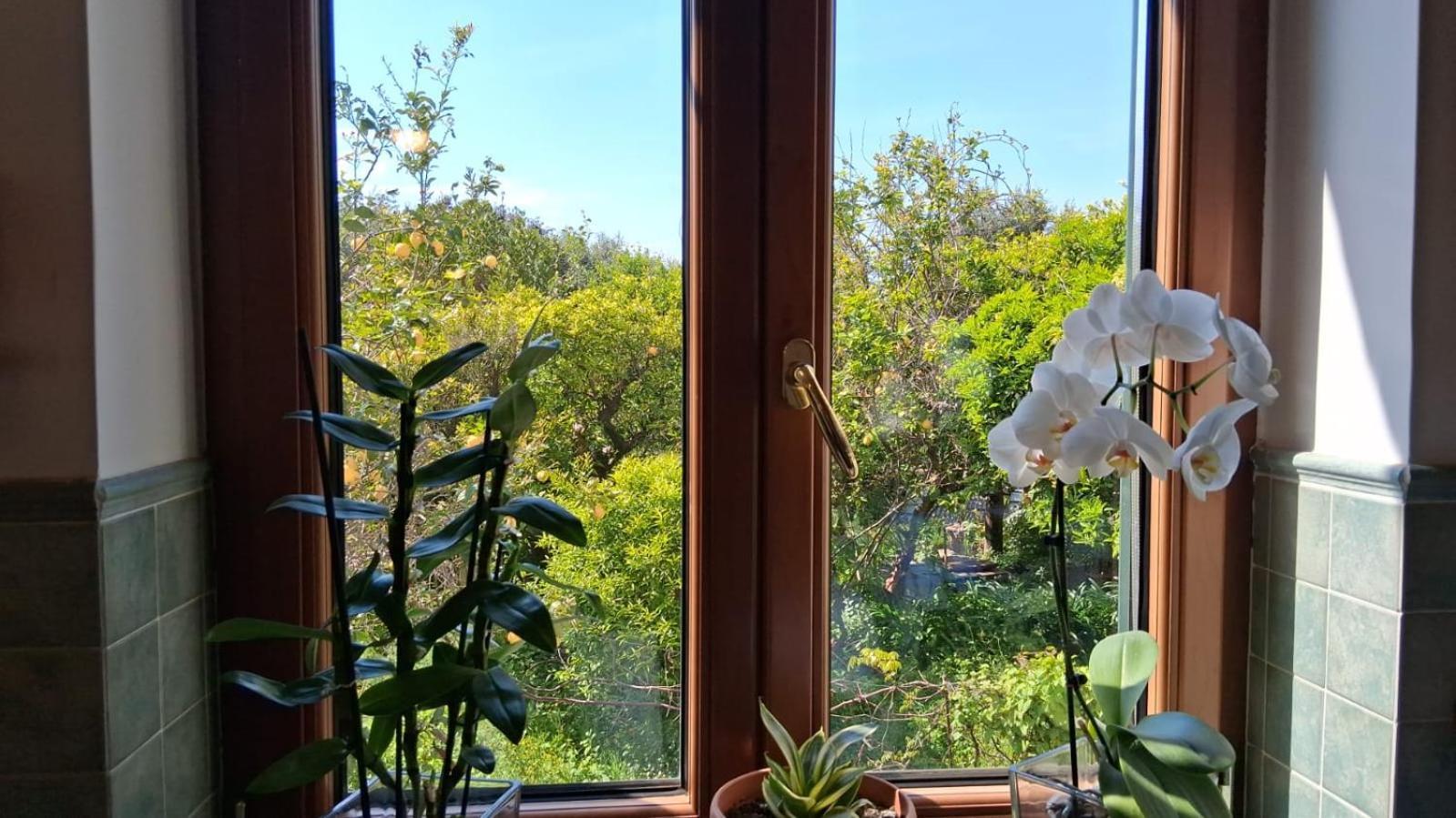 شقة Il Giardino Dei Gigli ميتا المظهر الخارجي الصورة