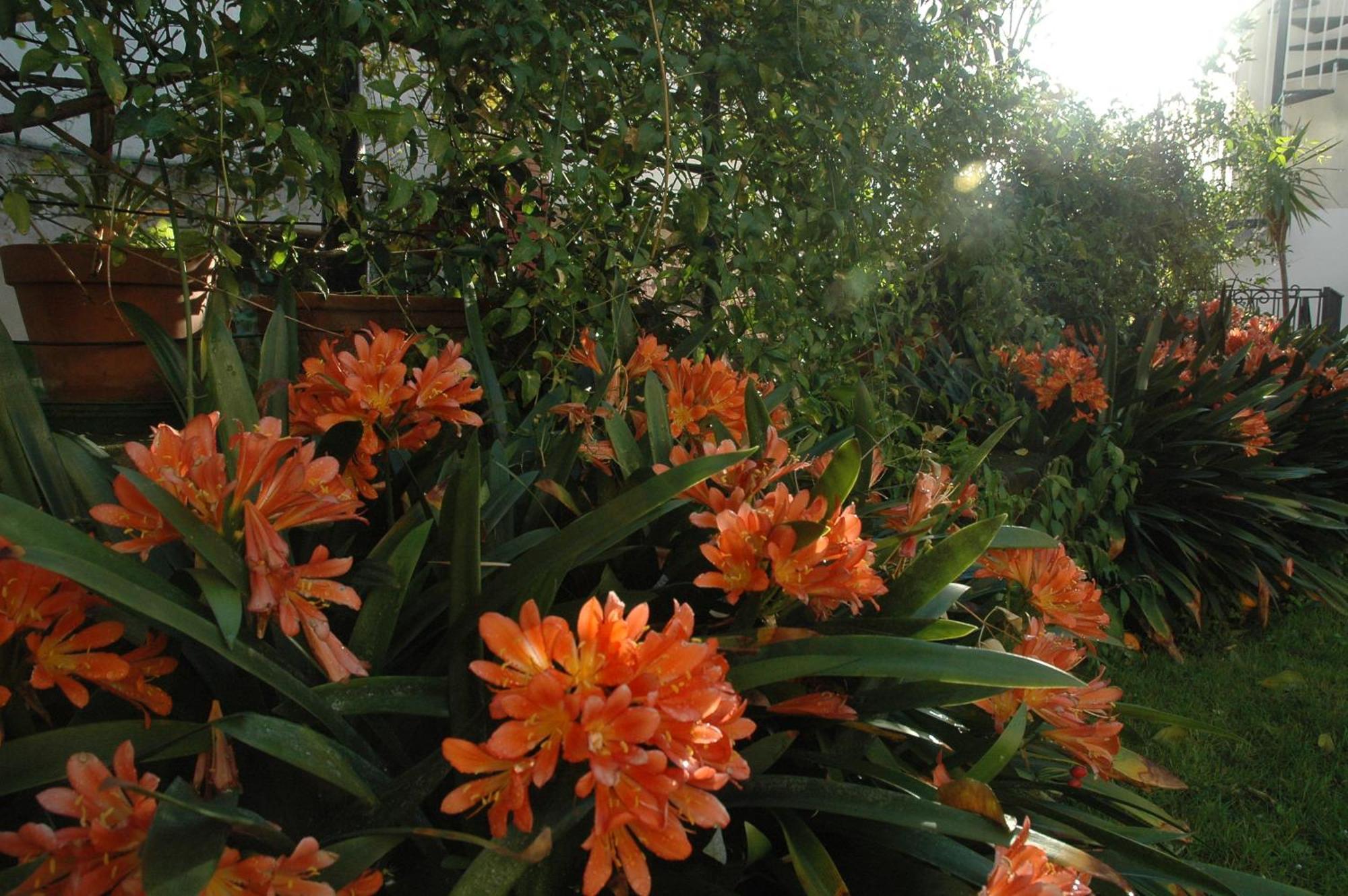 شقة Il Giardino Dei Gigli ميتا المظهر الخارجي الصورة